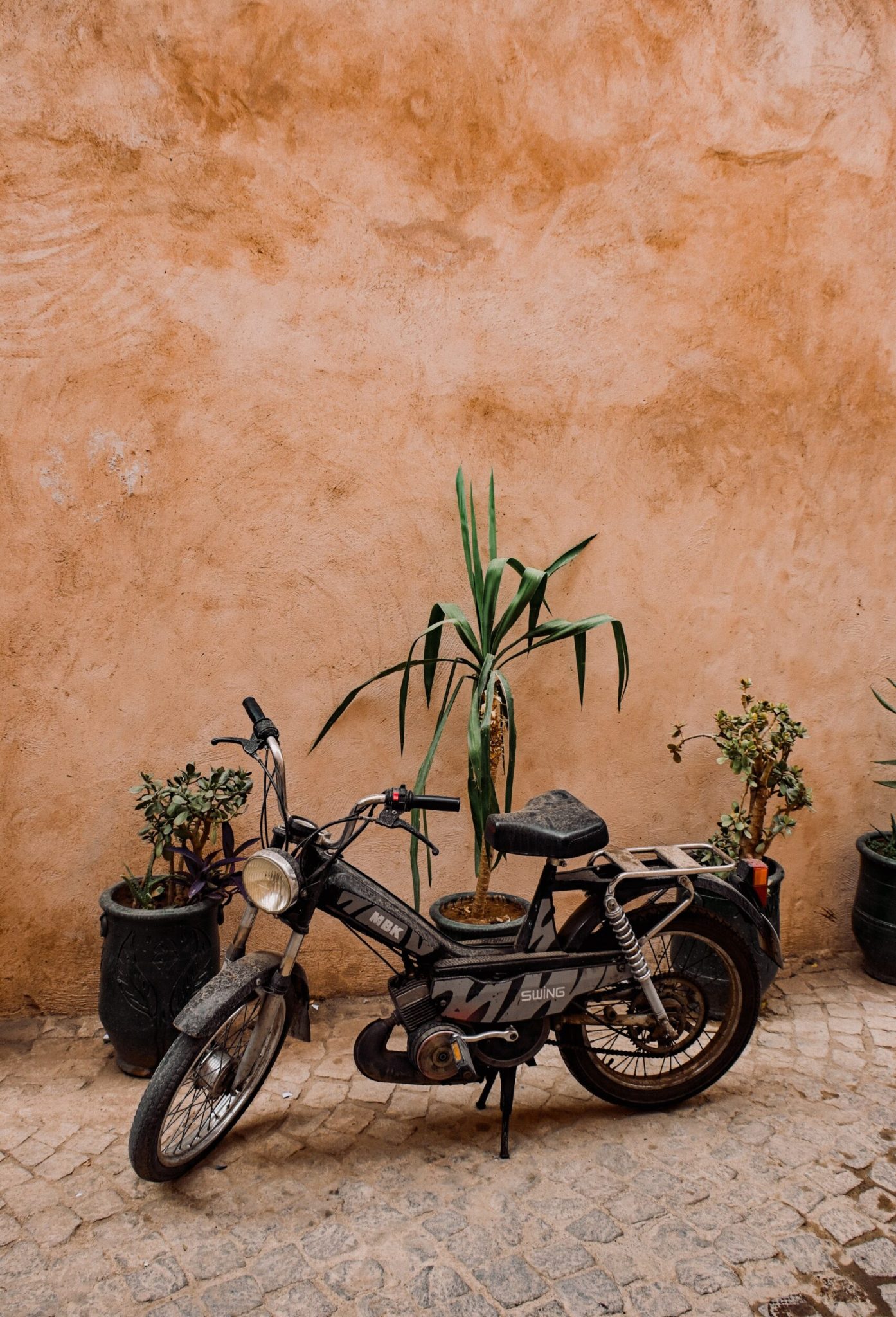 emilia-igartua-9CM0JnzmWKU-unsplash